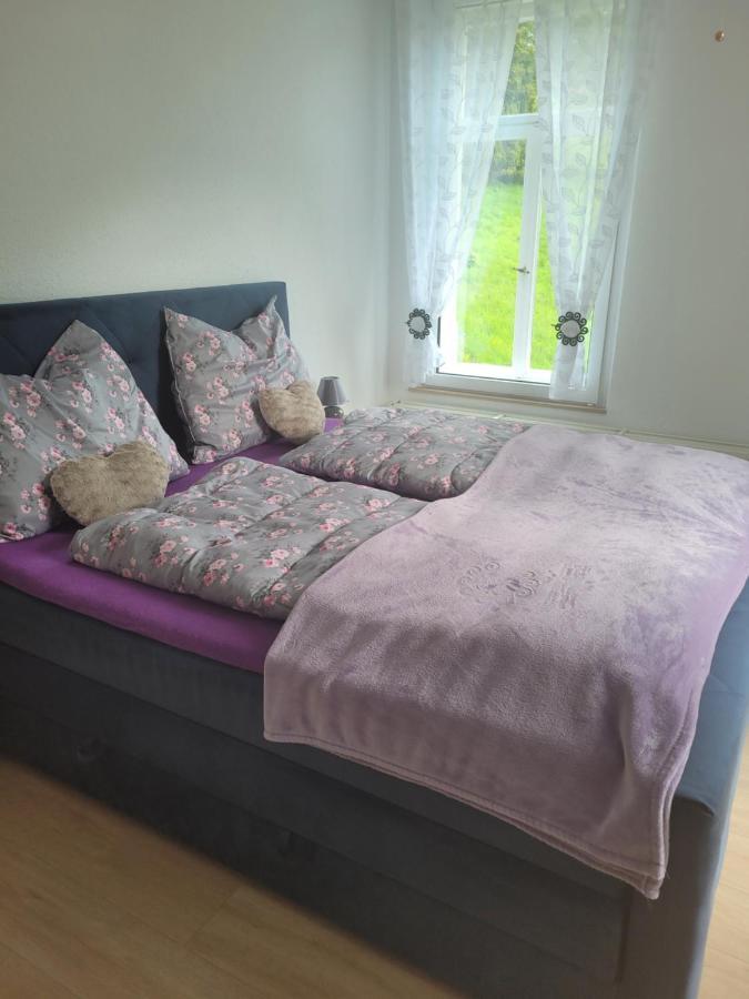 Ferienwohnung Rote-Villa 2 Marienberg Esterno foto